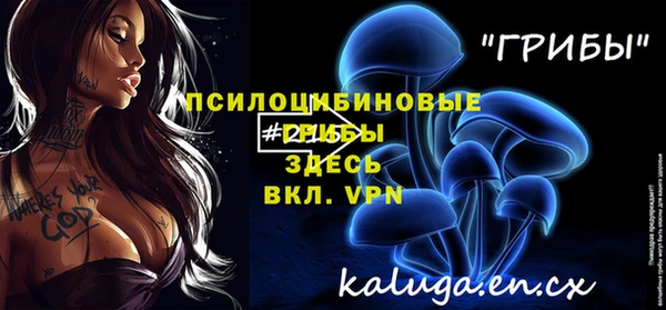 мяу мяу мука Алексеевка