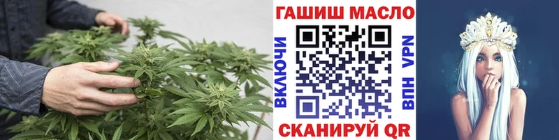 mega как войти как найти закладки Андреаполь ТГК гашишное масло