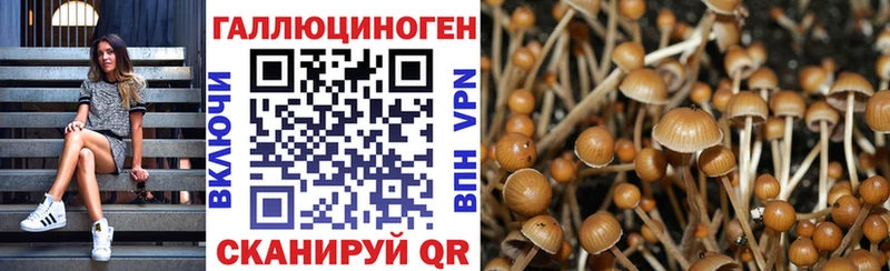 MEGA как войти  Андреаполь  Псилоцибиновые грибы GOLDEN TEACHER 